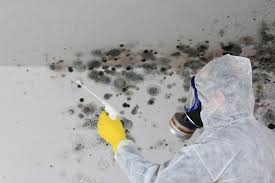 Forensic Mold Investigation in High Ridge, MO